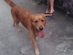 Pic0924008