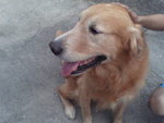 Pic0924010