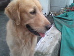 Pic0924012