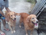 Pic0924013