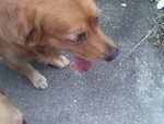 Pic0924014