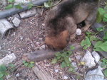 Pic0924015