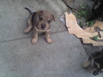 Pic0924023