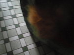 Pic0930005