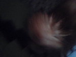 Pic0930006