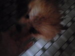 Pic0930007