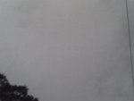 Pic0930053