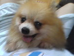 Pic0930059