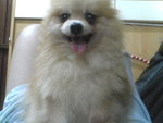 Pic0930062