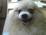 Pic0930064