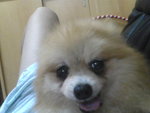 Pic0930068