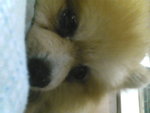 Pic0930069