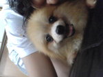 Pic0930072