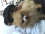 Pic0930074