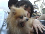 Pic0930075