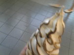 Pic1004029