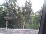Pic1004047