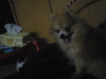 Pic1004069