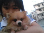 Pic1005003
