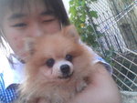 Pic1005004