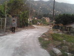 Pic1005010