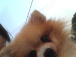 Pic1005012