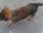 Pic1005019