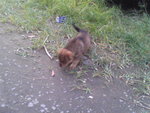 Pic1005020