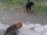 Pic1005023