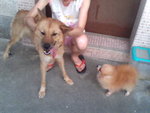 Pic1005028