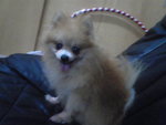 Pic1005037