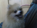 Pic1005043