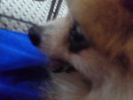 Pic1005048