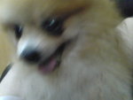 Pic1005049