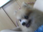 Pic1007065