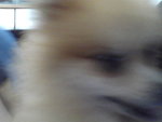 Pic1007071