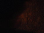 Pic1007074