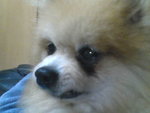 Pic1007078