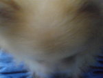 Pic1007081