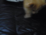 Pic1009025