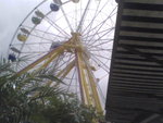 Pic0711006