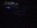 Pic0711012