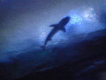 Pic0711015