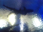Pic0711016