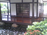 Pic0711018