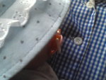 Pic0712008