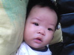 Pic0808004