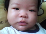 Pic0808006