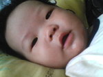 Pic0808007