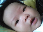 Pic0808008